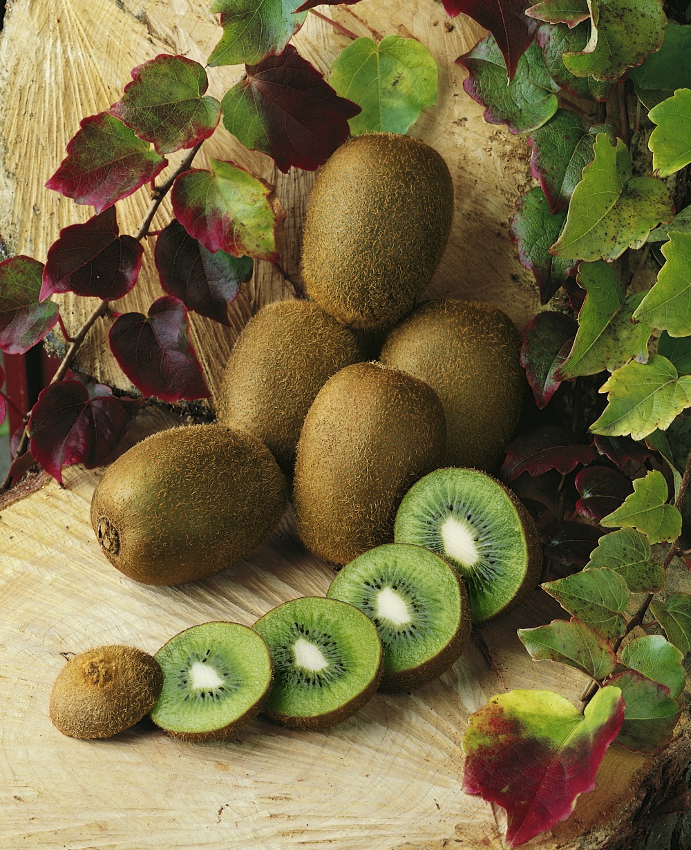 Foto: Großfruchtige Kiwi